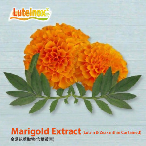 Luteinox® Marigold Extract (Lutein & Zeaxanthin contained)
