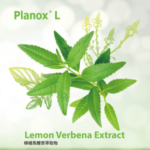 Planox® Lemon Verbena Extract