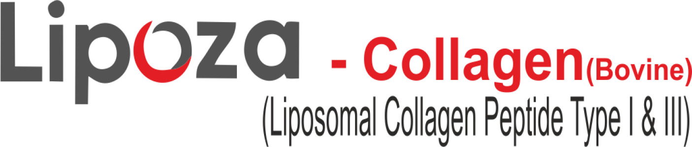 Lipoza collagen - (Liposomal Bovine Collagen)