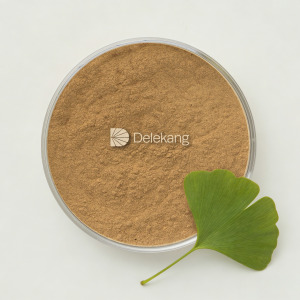 Ginkgo Biloba Extract