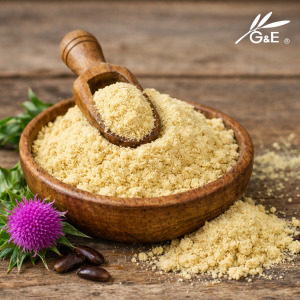 High Bioavailability Silymarin (Milk Thistle) Powder