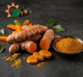 Functional Fermented Curcumin