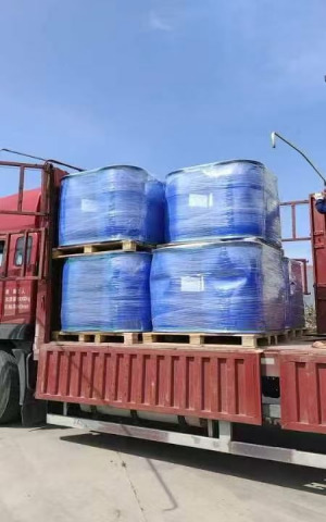 Conjugated Linoleic Acid (Oil)