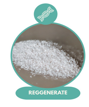 Reggenerate