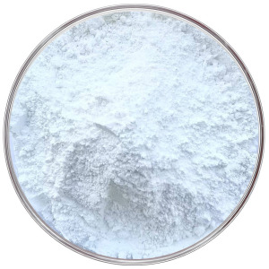 Paramylon (β-1,3-glucan)