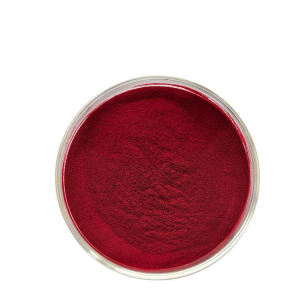 Premium Natural Food Colorants & Custom Coloring Solutions | Green Spring Technology