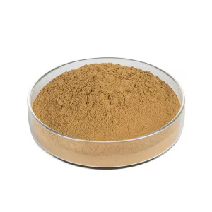 Premium Green Tea Extract | 95% Tea Polyphenols | EGCG 45%-50% | Pesticide-Free & PAHs Compliant | Bulk Supply