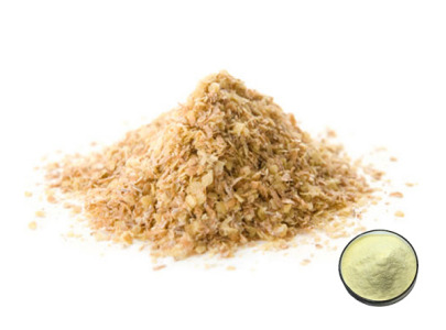 Natural Wheat Germ Extract | 1% Spermidine Powder | Anti-Aging & Autophagy Support | Non-GMO | Bulk Supply