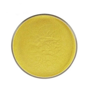Premium Sophora Japonica Extract | 95% Rutin Powder | NF/EP/DAB Standard | Antioxidant & Vascular Health | Bulk Supply