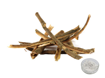 White Willow Bark Extract 98% Salicin | Natural Aspirin Alternative | EU & USP Compliant | High Purity Active