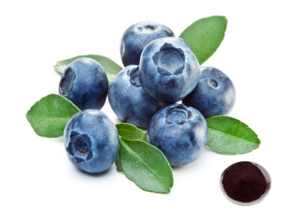 EU-Compliant Standardized Botanical Extracts & Nutraceutical Ingredients | Green Spring Technology