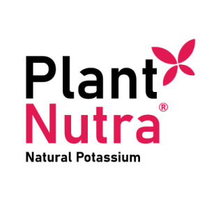 PlantNutra® Natural Potassium from Coconut Water Powder