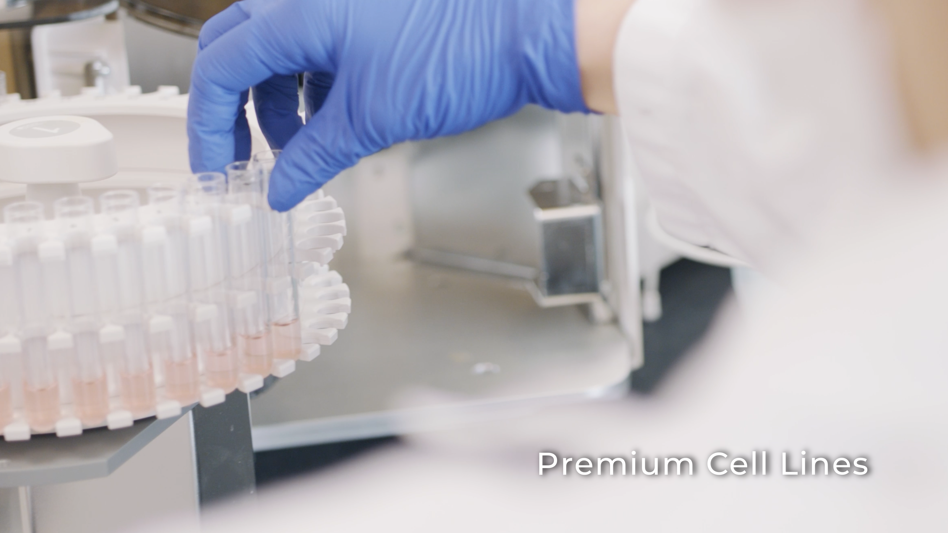 Cultivated cells of mammalian origin