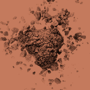 NordRelease® Chaga Organic Extract Powder & Liquid Extract