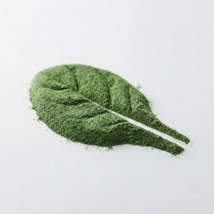 Spinach powder
