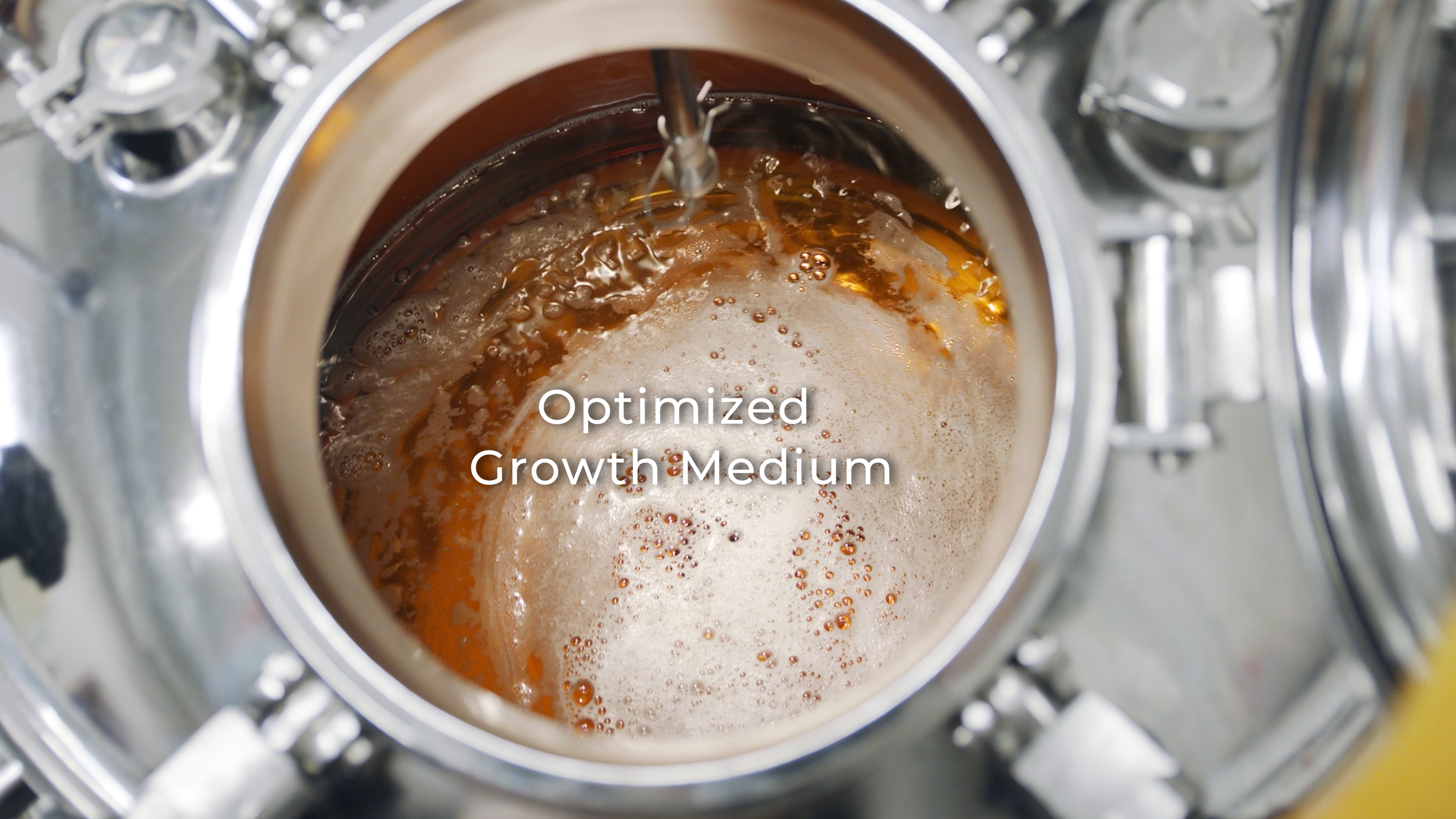 Optimized Growth Medium