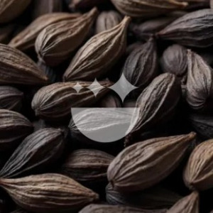 CardaMind™: Standardized black cardamom extract that delivers fast-acting, measurable mental energy without caffeine.
