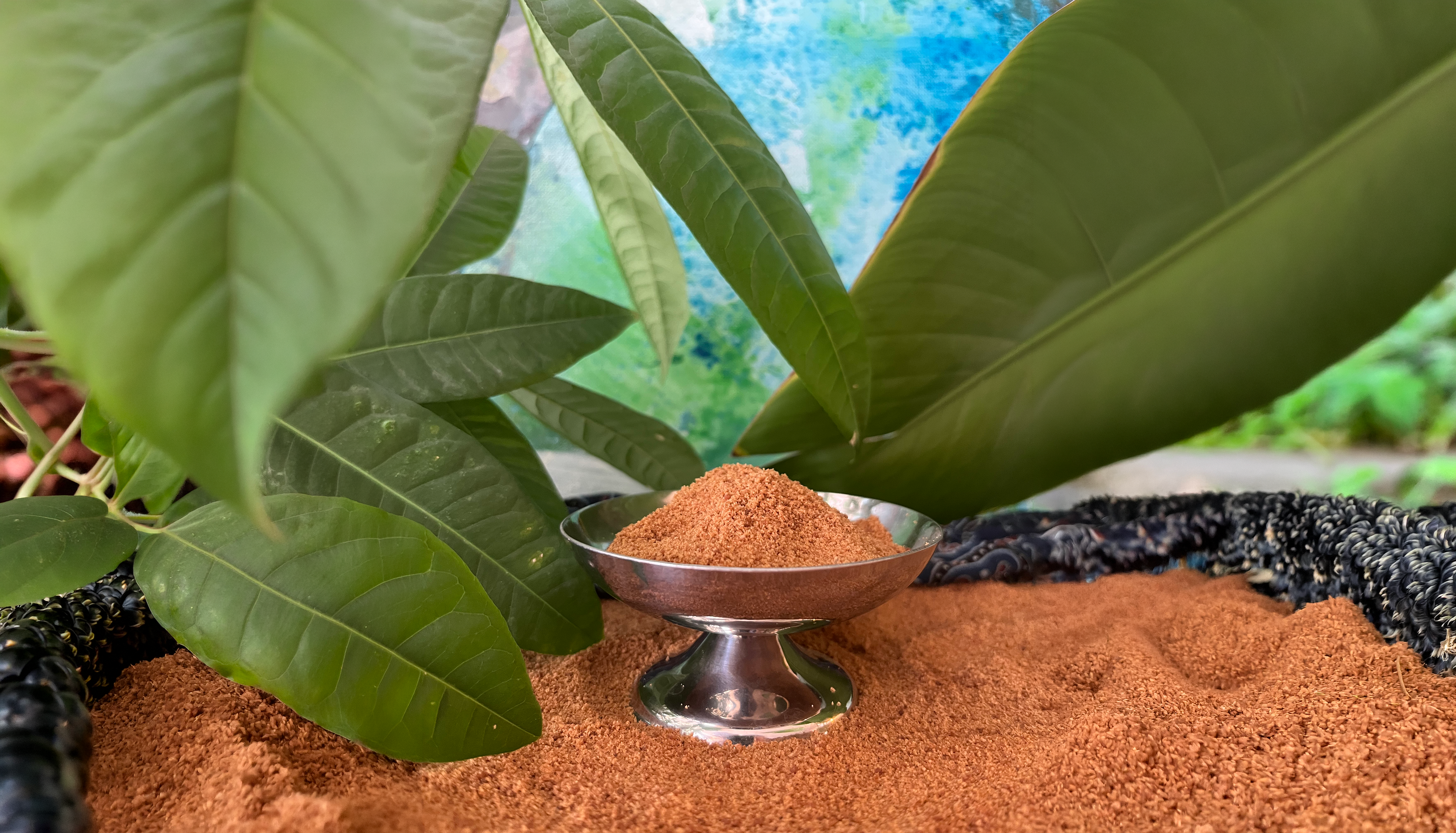 organic coconut sugar