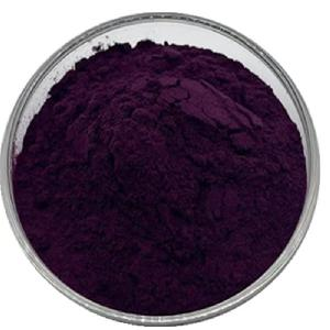 Bilberry extract