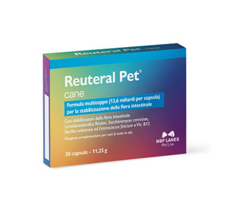 Reuteral Pet Dog
