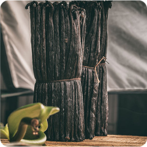 Vanilla Beans