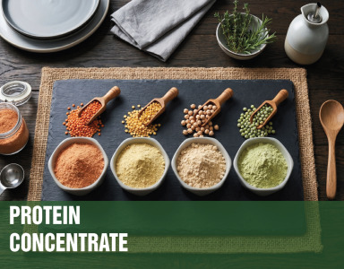 PROTEIN CONCENTRATE