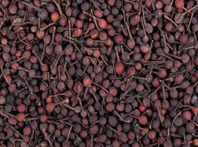 Wild pepper
