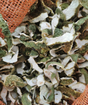 Kaffir Lime / Combava