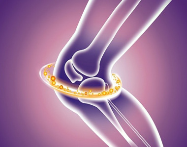 SEMPEP-II®Collagen Type II