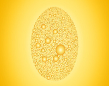 Eggshell Membrane Extract