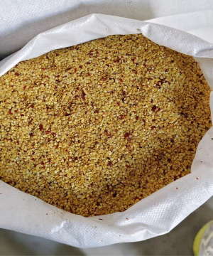 Paprika seeds