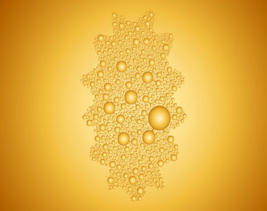 Sea Cucumber Extract