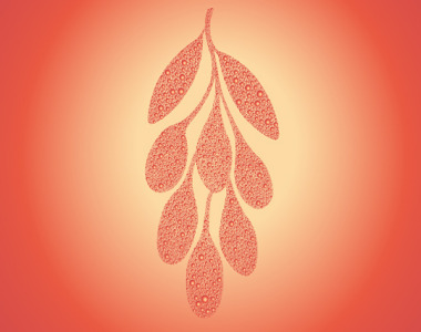 Goji Extract