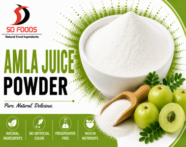 Amla Juice Powder- Spray Dried