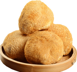 Lion Mane Extract