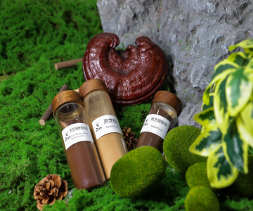 Reishi Mushroom Powder & Extract Powder  (Ganoderma lucidum)
