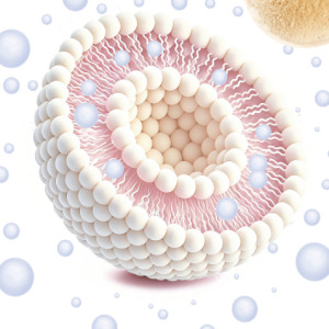 LiposoRise®Silybin 、 LiposoRise®Silymarin 、 LiposoRise®Curcuminoids 、LiposoRise®Astaxanthin Oil