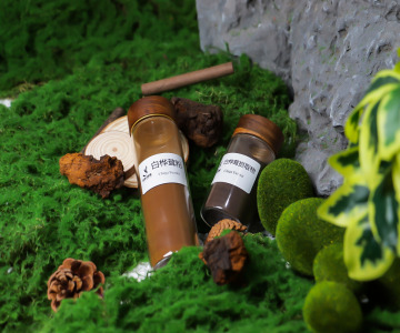 Chaga Mushroom Powder & Extract Powder (Inonotus obliquus)