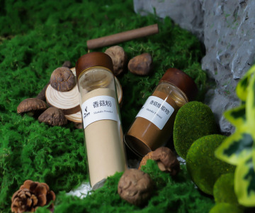 Shiitake Mushroom Powder & Extract Powder (Lentinula edodes)