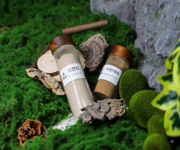 Turkey Tail Mushroom Powder & Extract Powder (Trametes versicolor)