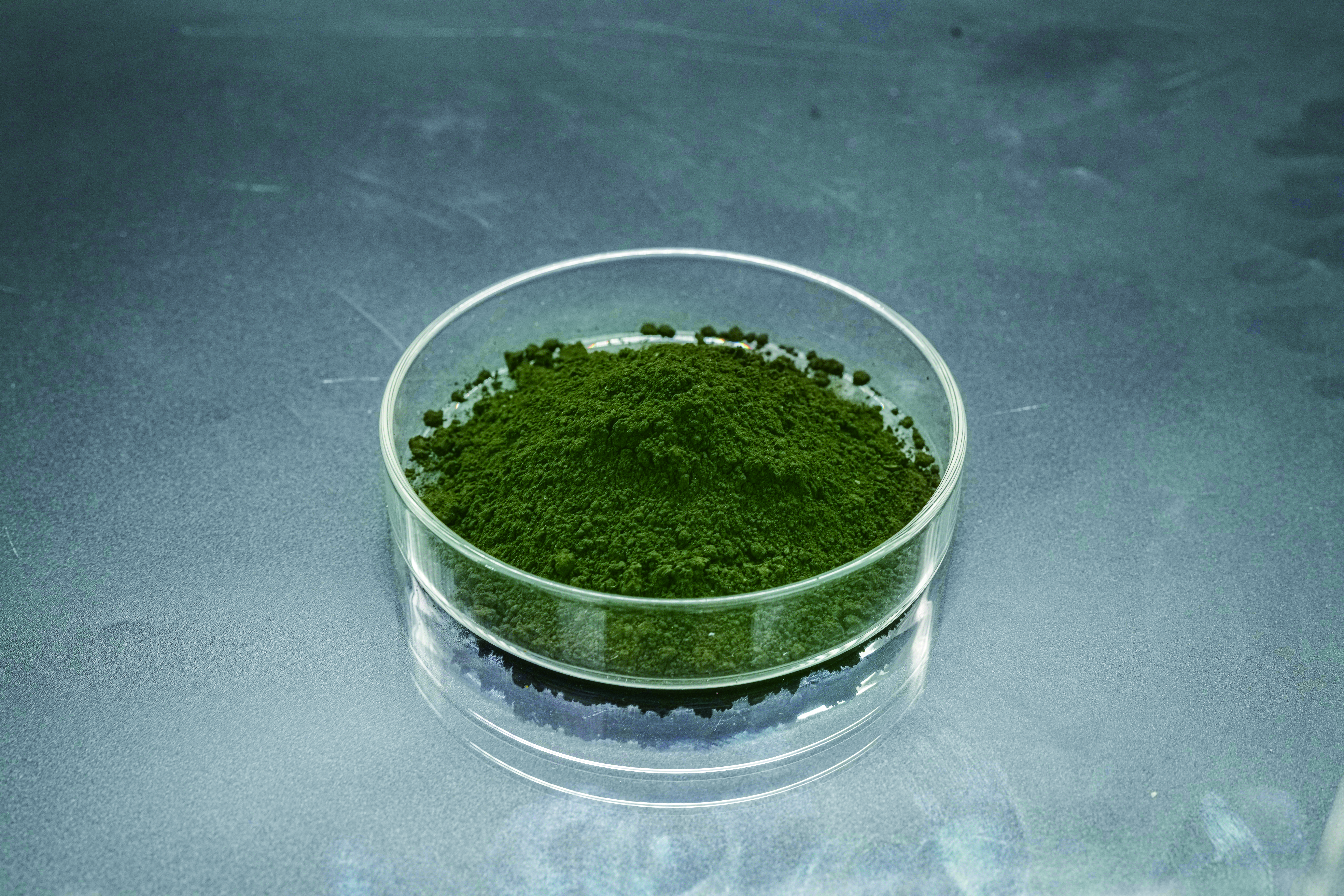 Sodium magnsium chlorophyllin