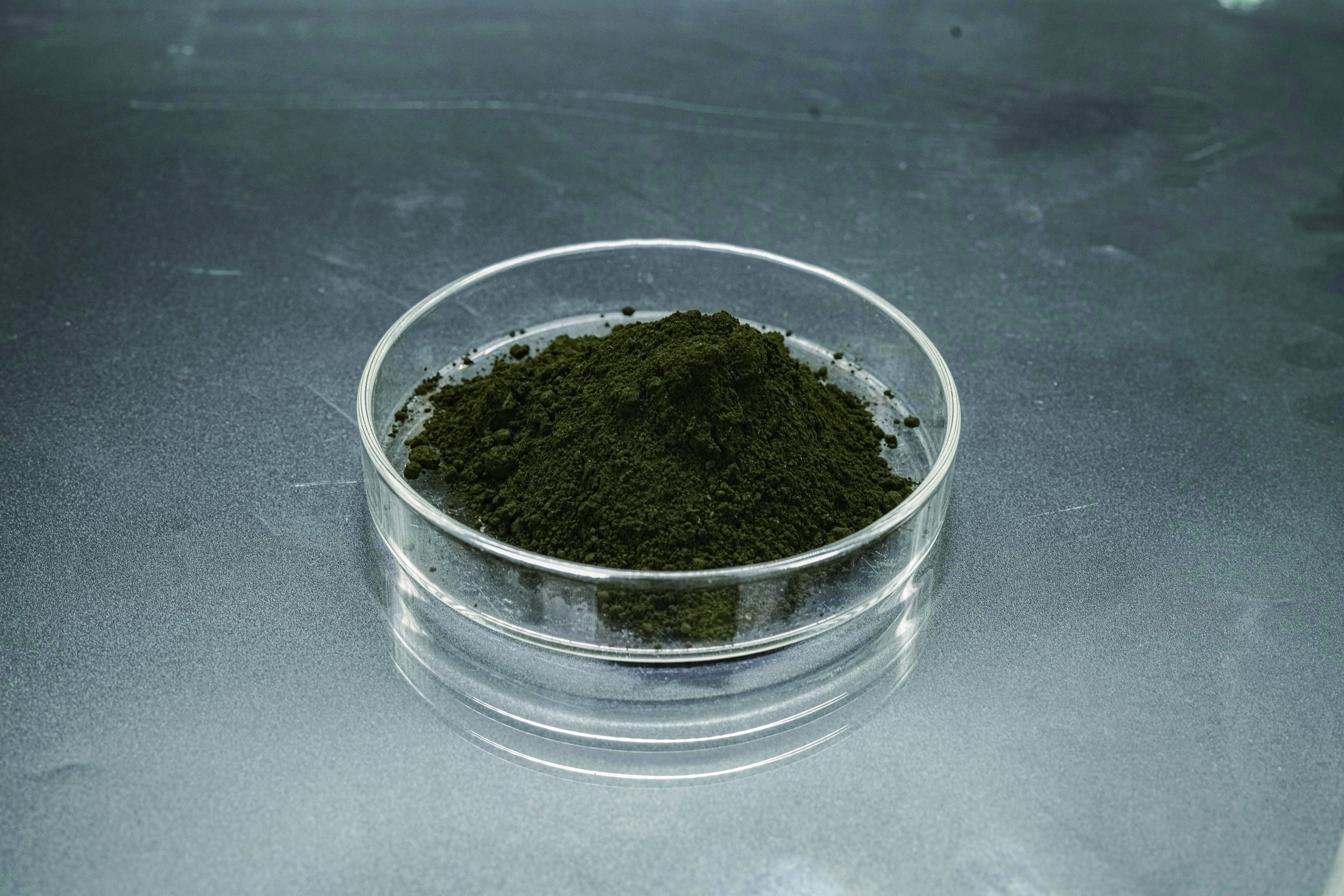 Sodium iron chlorophyllin