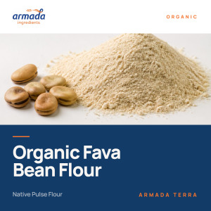 Organic Fava Bean Flour – Native | ARMADA TERRA™