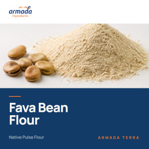Fava Bean Flour – Native | ARMADA TERRA™