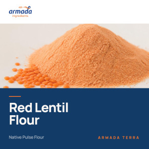 Red Lentil Flour – Native | ARMADA TERRA™