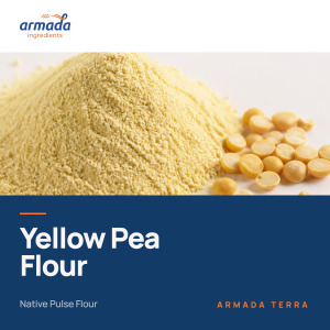 Yellow Pea Flour – Native | ARMADA TERRA™