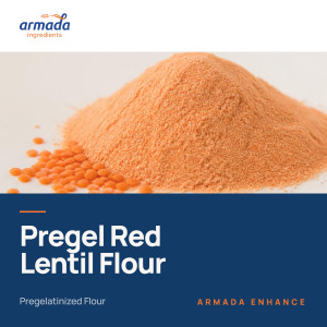 Pregelatinized Red Lentil Flour | ARMADA ENHANCE™