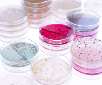 <Testing Service for Cosmetics and Drugs>