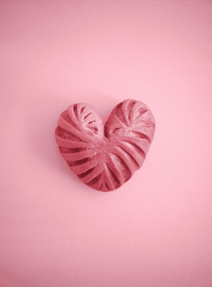 L'amie en rose