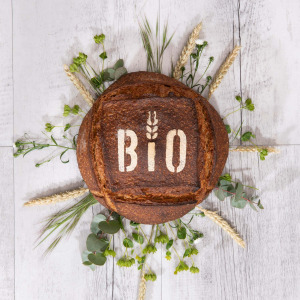 Pavé bio